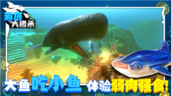 艾爾登法環(huán)全流程詳細(xì) 3dm：深度解析游戲全劇情與探索技巧，帶你走向終極勝利
