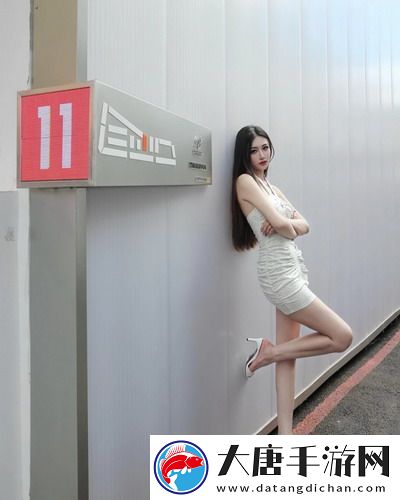 茄子app官方下載：一款讓你輕松探索新世界的神奇工具-快來試試吧！